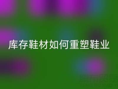 绿色革命：创新LD乐动·（中国）官方网站库存鞋材如何重塑鞋业未来