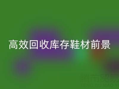 高效LD乐动·（中国）官方网站库存鞋材，助力鞋业绿色发展
