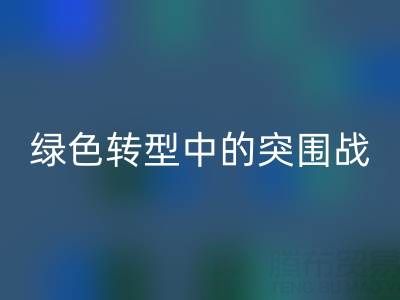 库存布料LD乐动·（中国）官方网站公司：挑战与机遇并存，绿色转型中的突围战