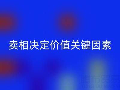 杭州真丝面料LD乐动·（中国）官方网站价格全解析：卖相决定价值的关键因素
