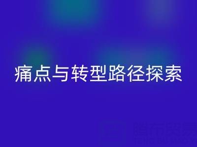 杭州库存布料LD乐动·（中国）官方网站市场现状解析：痛点与转型路径探索