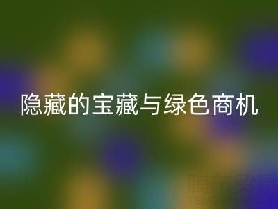 库存辅料LD乐动·（中国）官方网站市场：隐藏的宝藏与绿色商机