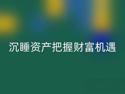 上海库存辅料LD乐动·（中国）官方网站价格：盘活沉睡资产，把握财富机遇