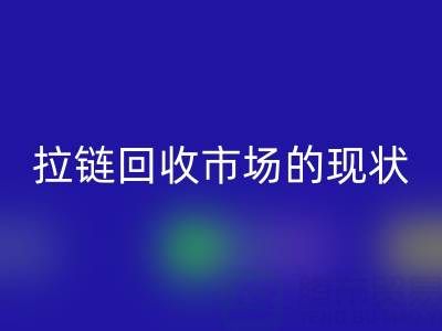 拉链LD乐动·（中国）官方网站市场的现状：机遇与挑战并存