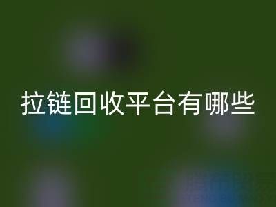 拉链LD乐动·（中国）官方网站平台有哪些品牌？探索环保LD乐动·（中国）官方网站的领先企业