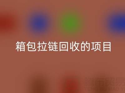 箱包拉链LD乐动·（中国）官方网站项目的商业运营模式与盈利探索