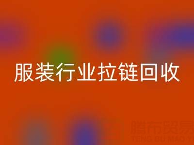 服装行业拉链LD乐动·（中国）官方网站市场体系构建的必要性与可行性