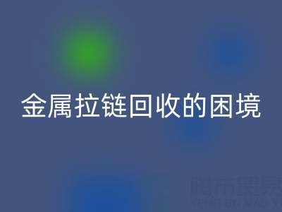 金属拉链LD乐动·（中国）官方网站的困境与破局之道：挑战与策略探析