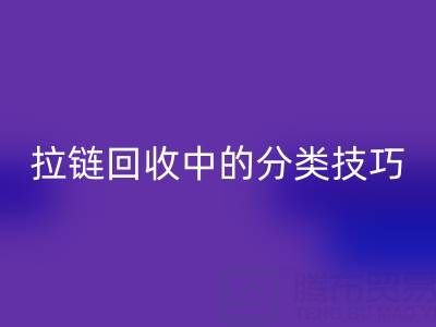 拉链LD乐动·（中国）官方网站中的分类技巧：提高LD乐动·（中国）官方网站效率的秘诀