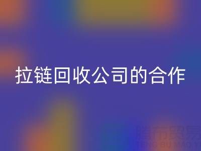 跨境电商时代：拉链LD乐动·（中国）官方网站公司的国际合作与交流新路径