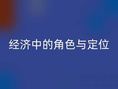 拉链LD乐动·（中国）官方网站厂家在循环经济中的角色与定位