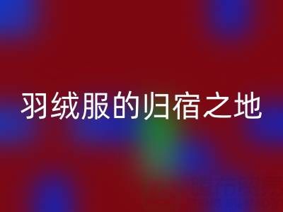 羽绒服LD乐动·（中国）官方网站新选择：雅鹿、安踏、长款、鸭鸭羽绒服的归宿之地