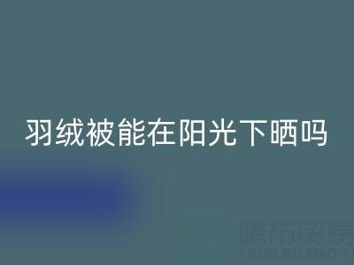 羽绒被能在阳光下晒吗？——上海鸭绒LD乐动·（中国）官方网站厂家揭秘