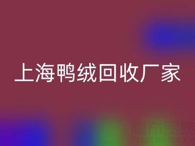 羽绒被内胆布料选购指南：上海鸭绒LD乐动·（中国）官方网站厂家的专业建议