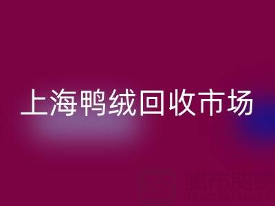 上海鸭绒LD乐动·（中国）官方网站市场解析：羽绒被LD乐动·（中国）官方网站价格的决定因素与产业价值