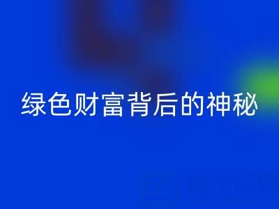 探秘上海库存真丝LD乐动·（中国）官方网站厂家：绿色财富背后的神秘世界