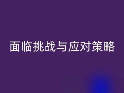 库存染料LD乐动·（中国）官方网站公司面临的挑战与应对策略